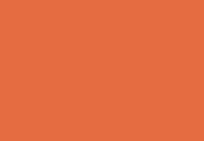 fondale-carta-BD-152-tangerine-arancio-terra-di-siena-1.jpg