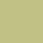 fondale-carta-BD-223-pistachio-verde-pistacchio-chiaro-1.jpg